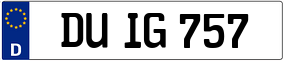 Trailer License Plate